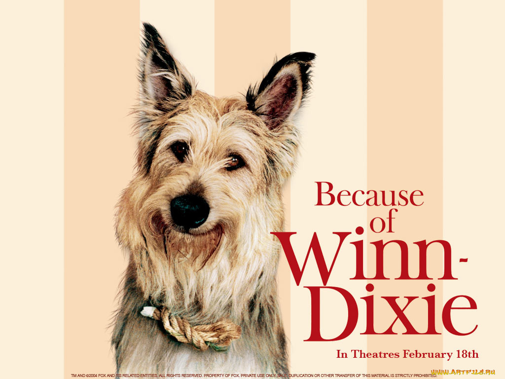 because, of, winn, dixie, , 